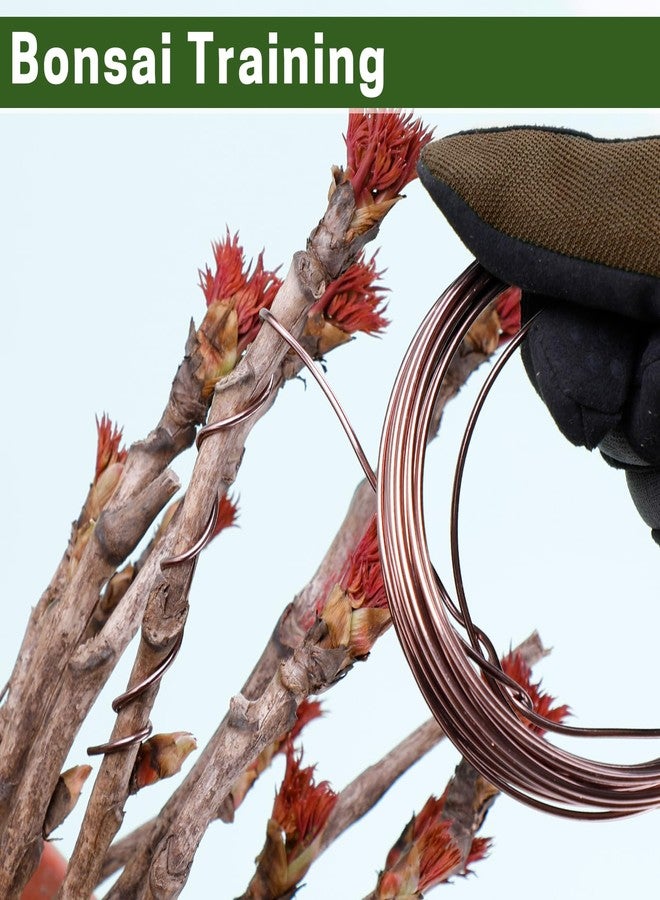 ZELARMAN Wire Bonsai Tree, 4 Rolls Total 64Ft Aluminum Bonsai Training Wire Set for Indoor 1.0MM, 1.5MM, 2.0MM - Image 5